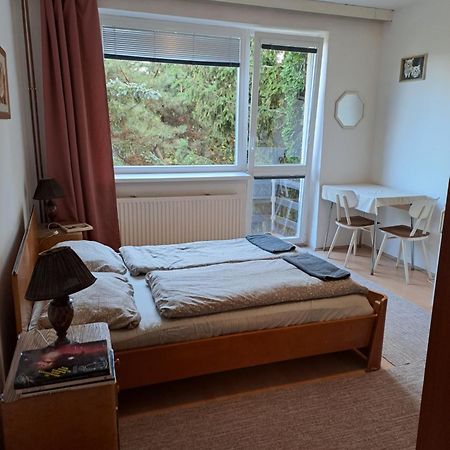 אולומוץ Apartman S Terasou מראה חיצוני תמונה