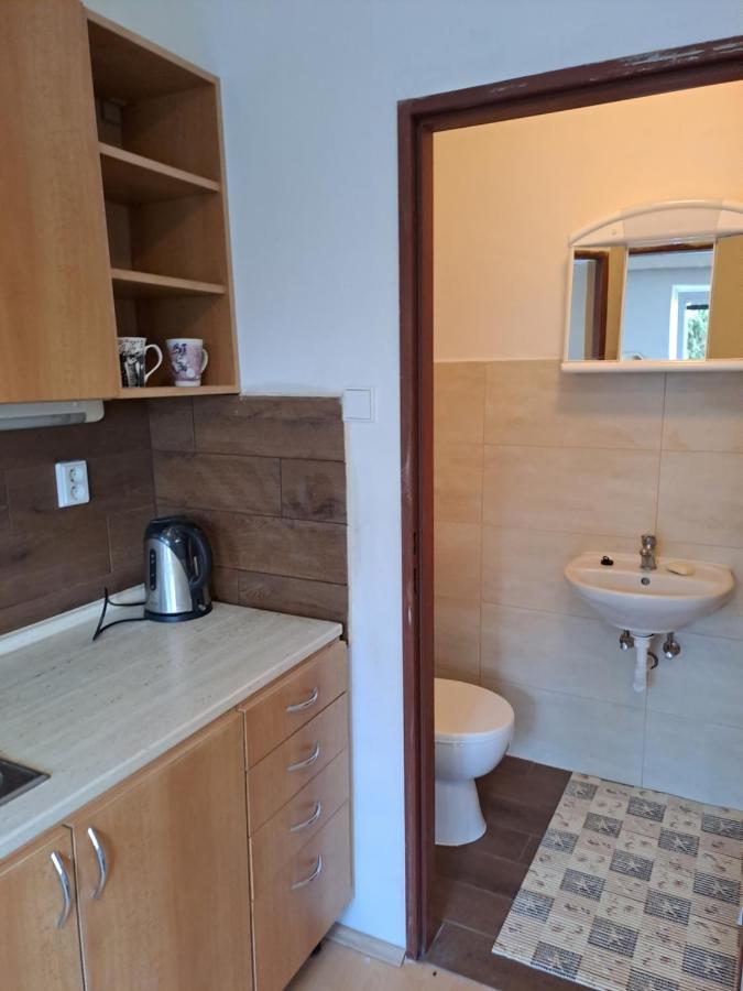 אולומוץ Apartman S Terasou מראה חיצוני תמונה